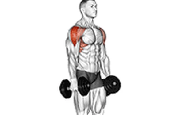 exercises-dataset：上千个健身动作的集合
