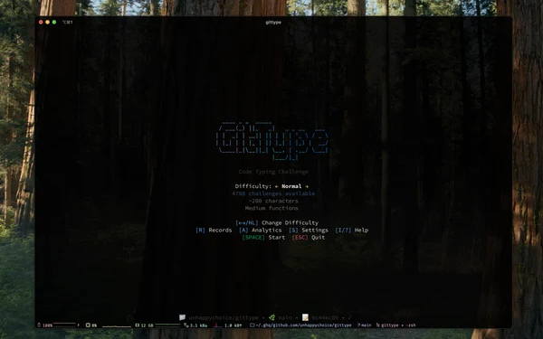 gittype：把代码变成打字游戏的工具