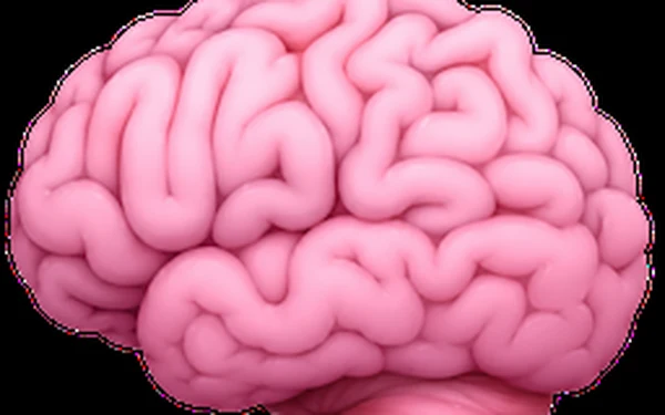 i-have-adhd：让 AI 直接说重点的技能