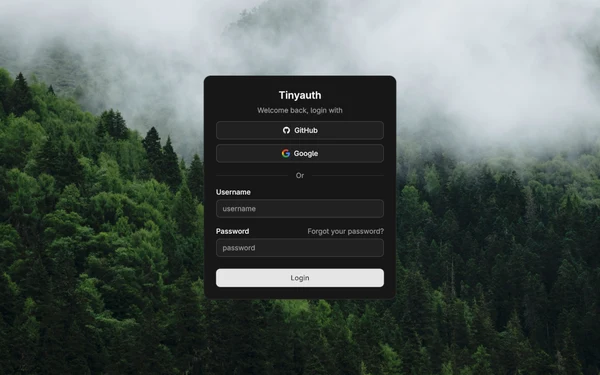 tinyauth：开源的零代码身份认证中间件