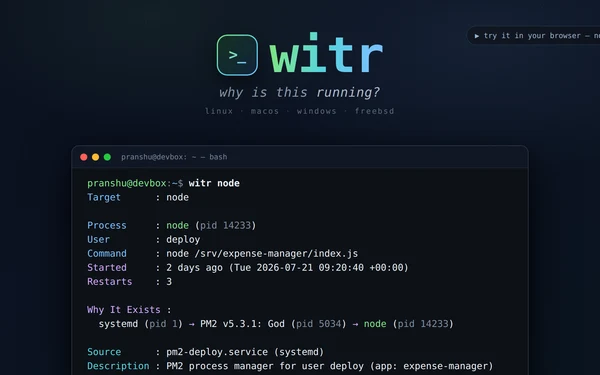 witr：一条命令揭秘进程身世